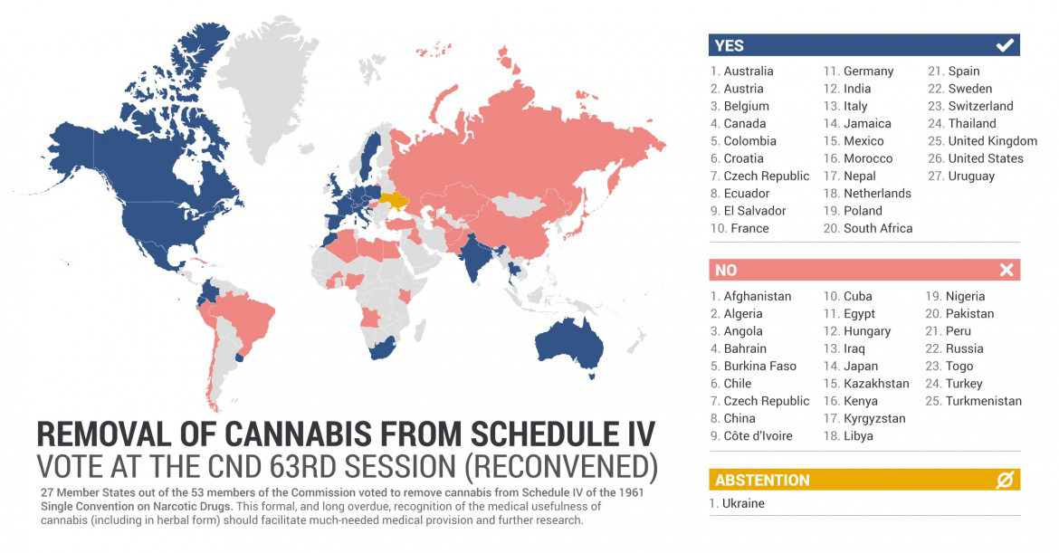 cannabis medical